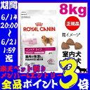 【条件クリアでポイント9倍】【ロイヤルカナン】インドアライフ...