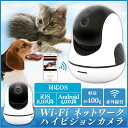 【エントリーでポイント3倍】 Wi-Fi ネットワークハイビジョンカメラ HDカメラ 無線LAN接続 タブレット端末 スマホ対応 インターネット 動画 録画 写真 防犯対策 送料無料