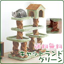 350円OFFクーポン対象 最安値に挑戦 キャットランド CLF-7 グリーン[キャットポール キャットタワー 猫タワー 運動不足解消 猫のおもちゃ 楽天 つっぱり おもちゃ ペット ネコ ねこ ペットグッズ 楽天 ≪現在の当店オススメ≫ 350円OFFクーポン対象 最安値に挑戦 キャットランド CLF-7 グリーン[キャットポール キャットタワー 猫タワー 運動不足解消 猫のおもちゃ 楽天 つっぱり おもちゃ ペット ネコ ねこ ペットグッズ 楽天 ≪現在の当店オススメ≫