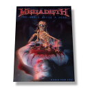 MEGADETH メガデス THE WORLD NEEDS A HERO TOUR BOOK / パンフレット