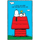 PEANUTS スヌーピー - SNOOPY & WOODSTOCK / I Could Lay Here / ポスター 【公式 / オフィシャル】