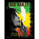 BOB MARLEY ボブマーリー (生誕75周年 ) - Herb / 額入りフォトボード / インテリア額 【公式 / オフィシャル】