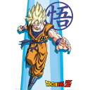 hS{[ Z - SS Goku   |X^[     ItBV 