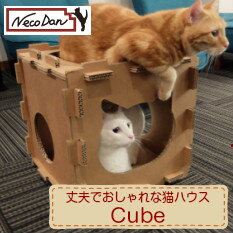 yCubezy˂/Lpi/LObY/LpnEX/L[uBOX/܂ѕtzNecoDan Cube/IWinEX/^[/L/lR/i{[/_{[nEX/L/v/LbgnEX/gl/킢/