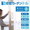 防音レースカーテン「トル」幅100cm×丈133cm 2枚組【送料込】(北海道・沖縄・離島除く)
