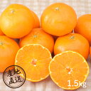 【23年3月上旬から発送・先行予約商品】産地直送グルメ│愛媛県産 せとか 1.5kg 【愛媛県】(産地直送 グルメ 柑橘 蜜柑 ミカン みかん フルーツ 果物 ギフト 贈り物 愛媛県産)