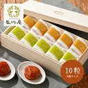 【送料無料】紀州五代の夢想 10粒 ご飯のお供 お子様にも食べやすい 健康 大粒 低塩 ギフト 贈り物 高級梅干し お茶うけ お中元 お歳暮 贈答用 人気 家庭用 熱中症対策 常備品 非常食 紀州産 手みやげ 個包装 詰め合わせ セット