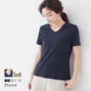 【楽天スーパーSALE!半額以下】【送料無料】ネックが選べる シルケットコットンTシャ