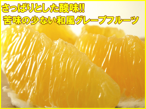 ݤ˥ץߥŲƤƱ!!̵ۥ塼辰ͭ10kgȢ̺ݡۡڽæХڡ