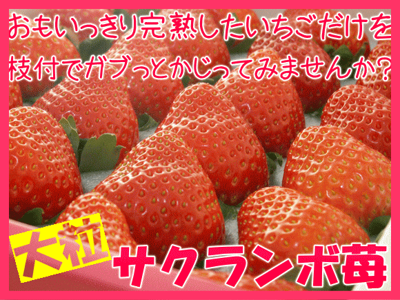 λϡ縩黺ľγΥӡդΥܤΤ褦Ǥڻľ绺γդܥ30γ42γ̵