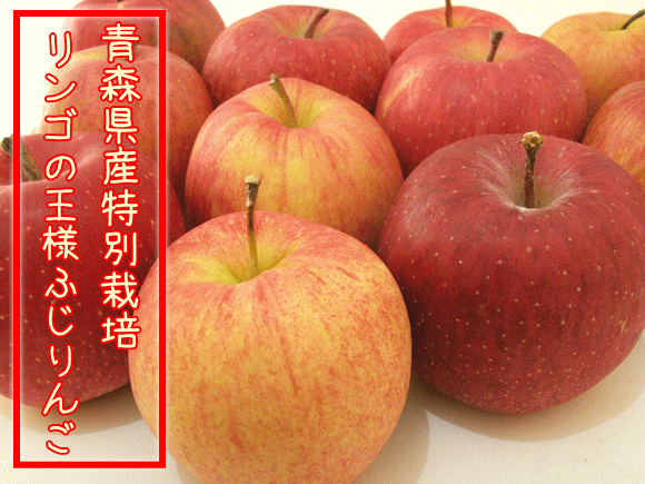 ͻ塼ˤ⤪ᡪĿ̪Τդ󤴡1Kgޡ̺ݡ