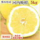 \夏の水分補給に!/【ワケ有り】河内晩柑5kg【無農薬栽培】【熊本県産】【人参ジュース】