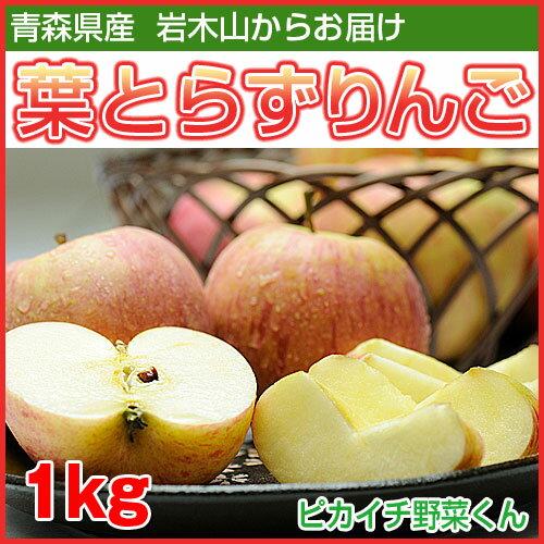 青森県産葉とらずりんご　ジョナゴールド1kg【あす楽】【にん...