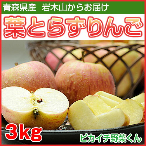 青森県産　葉とらずりんご3kg【あす楽】【にんじんジュース】...