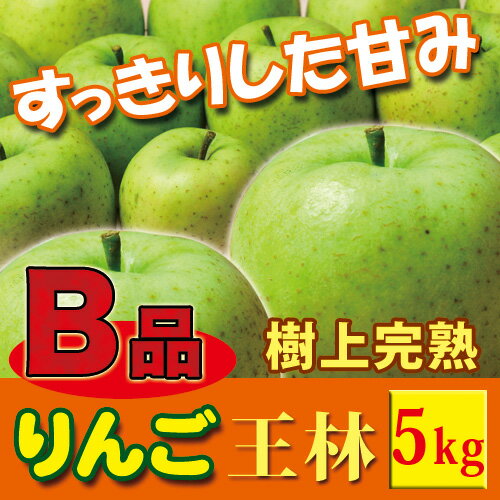 樹上完熟なので甘みが違う！【B品】「長野県産」王林（おうりん...