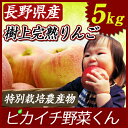 【ふじりんご部門ランキング1位獲得】【国産 りんご