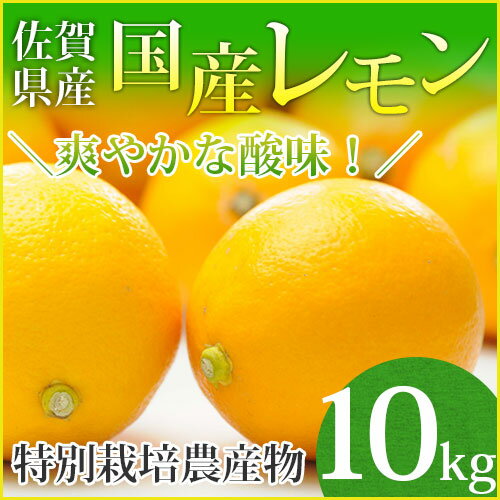 【特別栽培農産物】【佐賀県産】国産レモン10kg【業務用】...:pika831:10008162