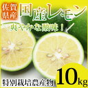 特別栽培農産物 佐賀県産 国産レモン10kg マイヤーレモン 人参ジュース 訳あり 業務用