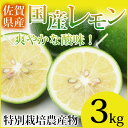 【特別栽培農産物】【佐賀県産】国産レモン3kg ランキングお取り寄せ