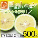 特別栽培農産物 佐賀県産 国産レモン500g マイヤーレモン...