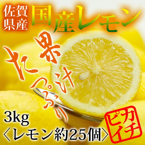 佐賀県産の特別栽培農産物！スッキリした酸味とほのかな甘さのレ...