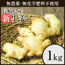 無農薬 生姜1kg しょうが ショウガ デザイナーフーズ 料理 長崎県産