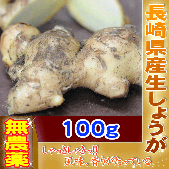 長崎県産！無農薬栽培の生姜100g 【あす楽対応】無農薬生姜・レビュー記入で鮮度保持袋をプレゼント♪