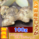 長崎県産！無農薬栽培の生姜100g 