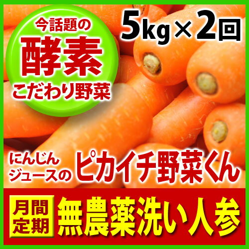 【月間購入】規格外洗い人参5kgを1ヶ月2回合計10kg1ヵ...