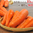 ※産地指定無料※【あす楽】国産 無農薬にんじん ゲルソン療法 ジュース用 10kg 送料無