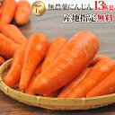 ※産地指定無料※【訳あり】国産 無農薬にんじん ジュース用 13kg 送料無料 常温便 無農