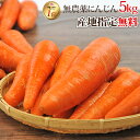 ※産地指定無料※【訳あり】国産 無農薬にんじん ジュース用 5kg 送料無料 常温便 無農