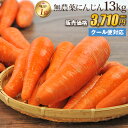 【訳あり】国産 無農薬にんじん ジュース用 13kg 送料無料 クール便 無農薬 野菜 酵素