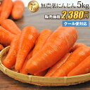 【訳あり】国産 無農薬にんじん ジュース用 5kg 送料無料...
