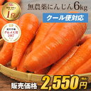 【訳あり】国産 無農薬にんじん ジュース用 6kg 送料無料 クール便 無農薬 酵素 生酵素 ゲルソ...