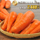 ※産地指定無料※【訳あり】国産 無農薬にんじん ジュース用 7kg 送料無料 常温便 無農