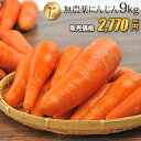 ※産地指定無料※【訳あり】国産 無農薬にんじん ジュース用 9kg 送料無料 常温便 無農