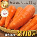 【訳あり】国産 無農薬にんじん ジュース用 11kg 送料無料 常温便 無農薬 酵素 生酵素