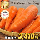 【訳あり】国産 無農薬にんじん ジュース用 13kg 送料無...