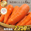 【訳あり】国産 無農薬にんじん ジュース用 6kg 送料無料 常温便 無農薬 酵素 生酵素