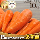 【あす楽】 国産 無農薬にんじん ジュース用 10kg 送料無料 訳あり 常温便 無農薬 酵