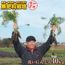 【産地直送】無農薬・無肥料栽培 洗い人参 10kg 茨城県産 送料無料 にんじんジュース 