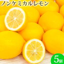 ノンケミカルレモン 5個 慣行栽培 にんじんジュース 海外産 レモン