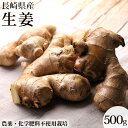 無農薬 生姜500g しょうが ショウガ デザイナーフーズ 料理 長崎県産