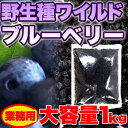 野生種★ワイルドブルーベリー大容量1kg≪常温商品≫ ※常温スイーツ以外との同梱、代引き、及び配達日時指定できません