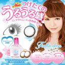 フォーリンドロップ【1箱】15ml コンタクト装着薬【Yep_100】