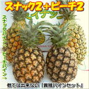 スナック・ピーチ大玉セット各2玉・計4個入り送料無料【smtb-MS】