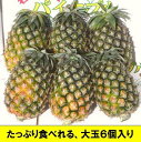 夏実パイン大玉6個入り送料無料