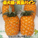 ²«¶â¥Ñ¥¤¥óÂç¶Ì4¸ÄÆþ¤ê1¶Ì=1,4kgÁ°¸å¡¦ÀгÀÅ绺Á÷ÎÁ̵ÎÁ¡Úsmtb-MS¡Û