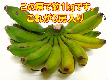 石垣島の島バナナ3〜6房約2,6〜3kg前後送料無料